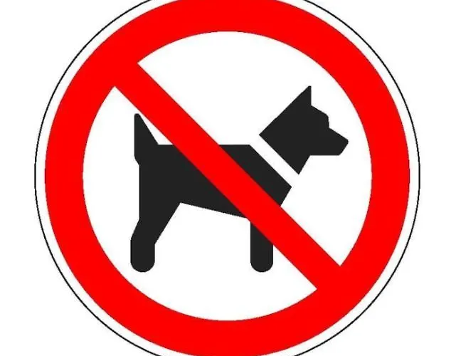 Zeezicht Verhuur Aan Zee Camping